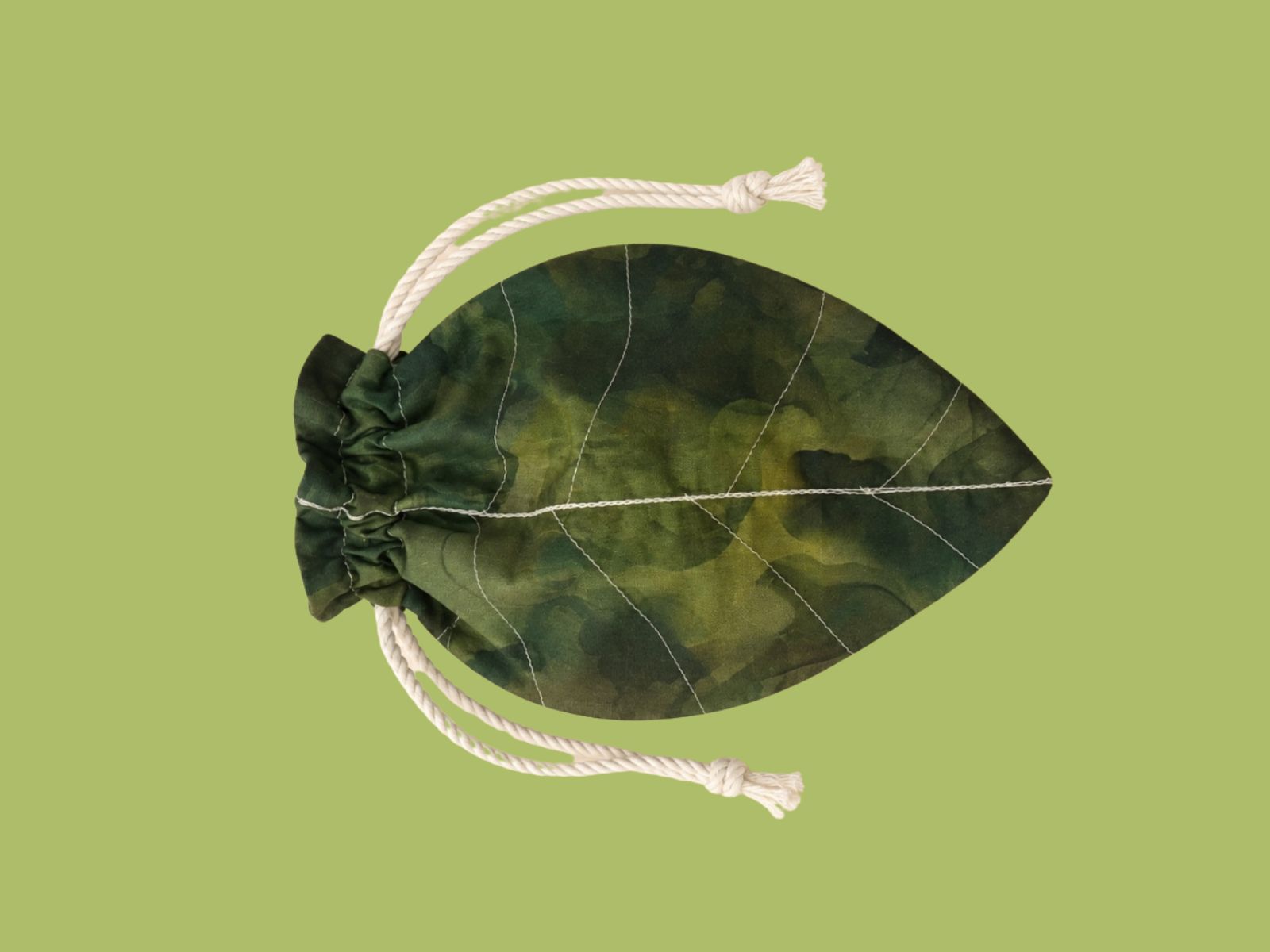 Seedling Series · 2025